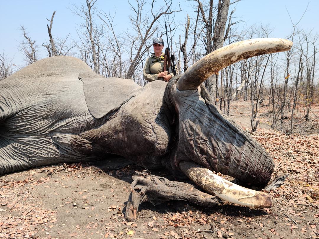 Wilderness Experience