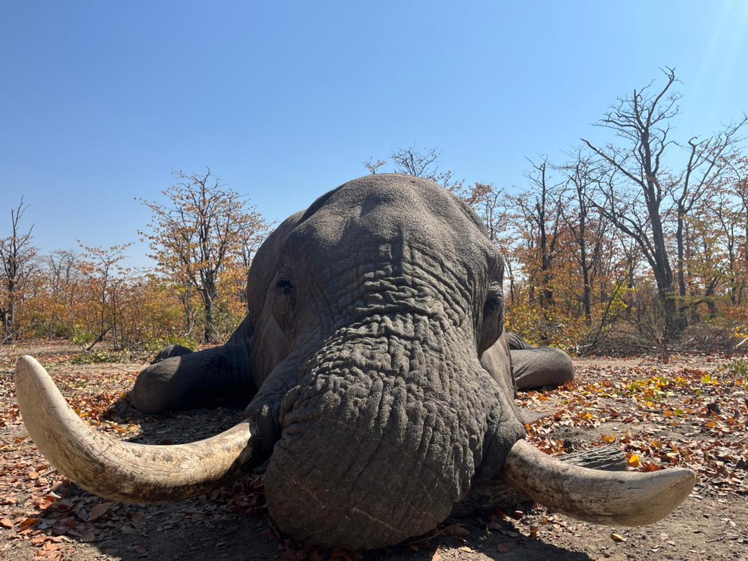 Wilderness Experience