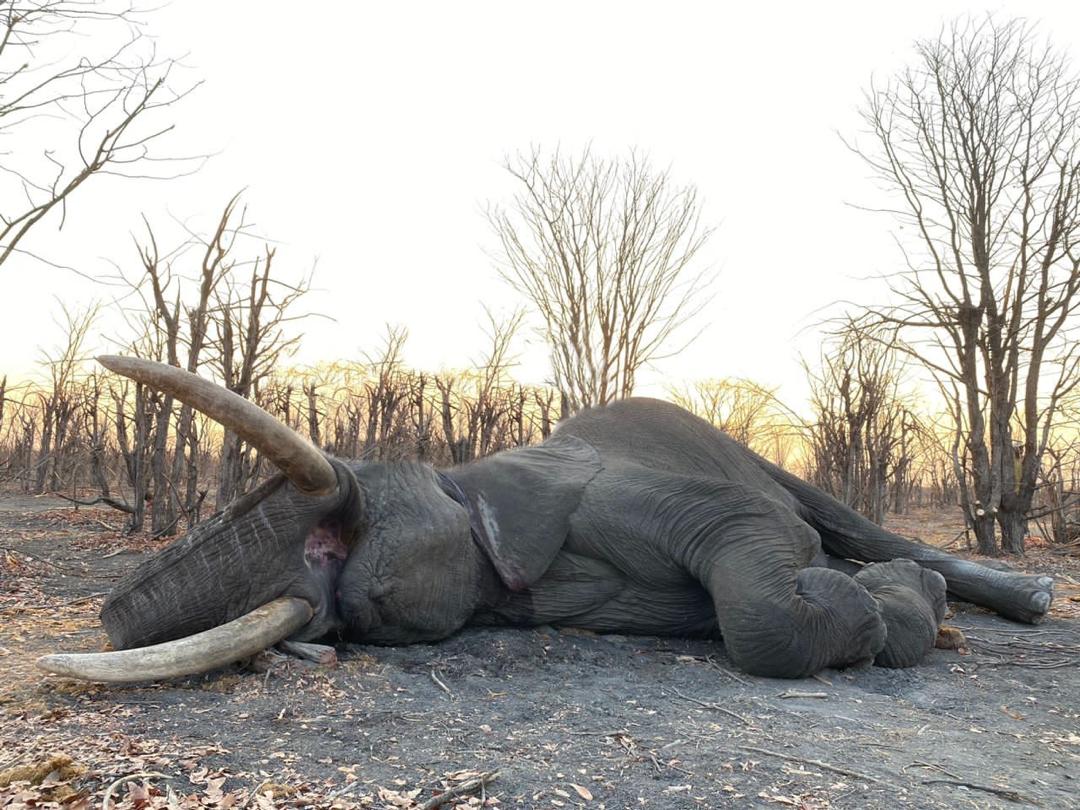 Wilderness Experience