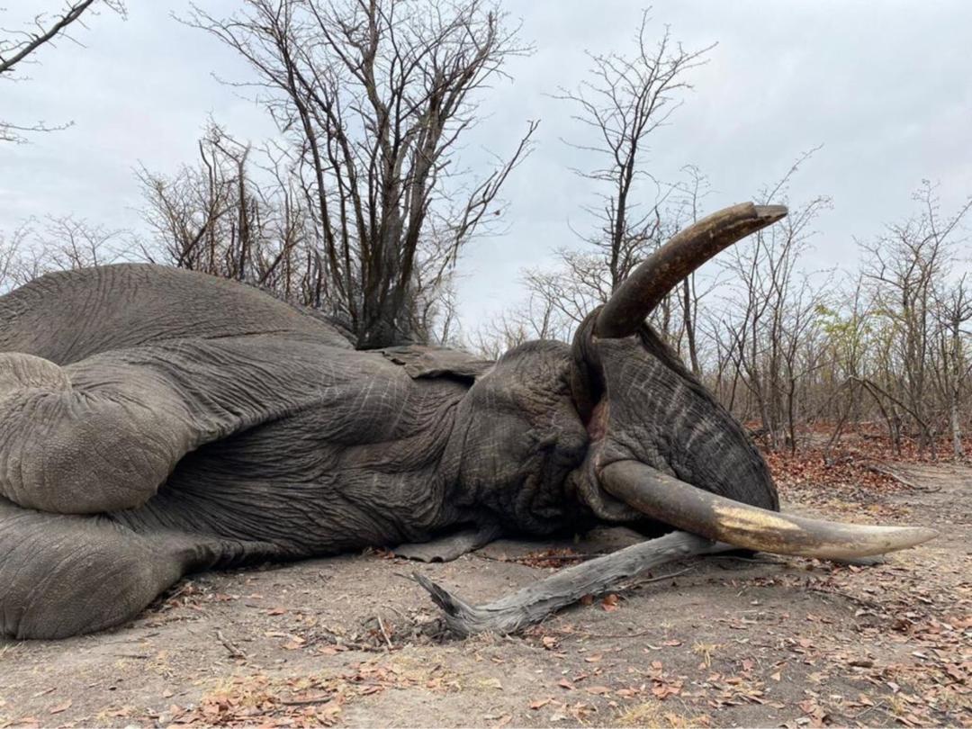 Wilderness Experience